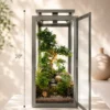 Premium indoor bonsai terrarium for gifting