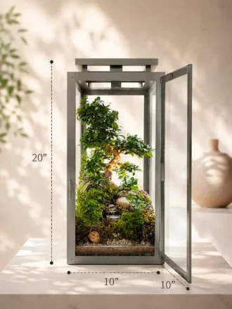 Premium indoor bonsai terrarium for gifting
