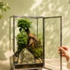 Medium Cuboidal Glass Terrarium with Real Living Plants by Wild Roots Gifting (12 x 7 x 7 Inches)