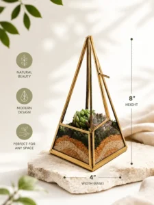 Premium Pyramid Glass Terrarium with Live Succulent Plants for Home Office Hotel Décor by Wild Roots Gifting