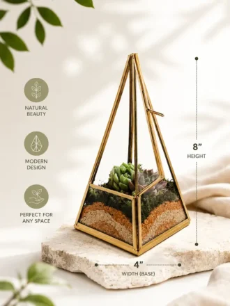 Premium Pyramid Glass Terrarium with Live Succulent Plants for Home Office Hotel Décor by Wild Roots Gifting