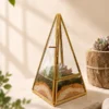 Premium Pyramid Glass Terrarium with Live Succulent Plants for Home Office Hotel Décor by Wild Roots Gifting