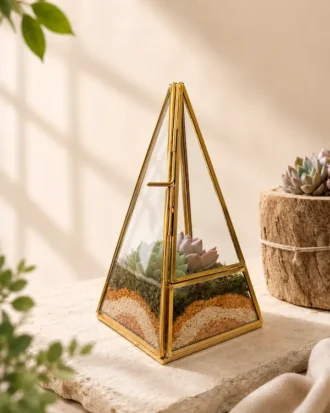 Premium Pyramid Glass Terrarium with Live Succulent Plants for Home Office Hotel Décor by Wild Roots Gifting