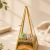 Premium Pyramid Glass Terrarium with Live Succulent Plants for Home Office Hotel Décor by Wild Roots Gifting