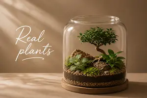 Real plant gift in a handcrafted terrarium by Wild Roots Gifting