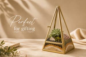 Handcrafted terrarium gift with living plants by Wild Roots Gifting