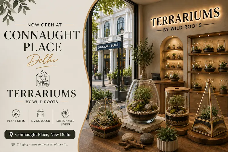 Wild Roots terrarium showroom in Connaught Place Delhi featuring handcrafted glass terrariums