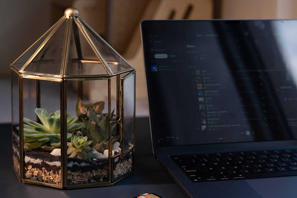 Handcrafted gazebo terrarium with live plants by Wild Roots Gifting – unique indoor green decor in Delhi NCR and Dehradun