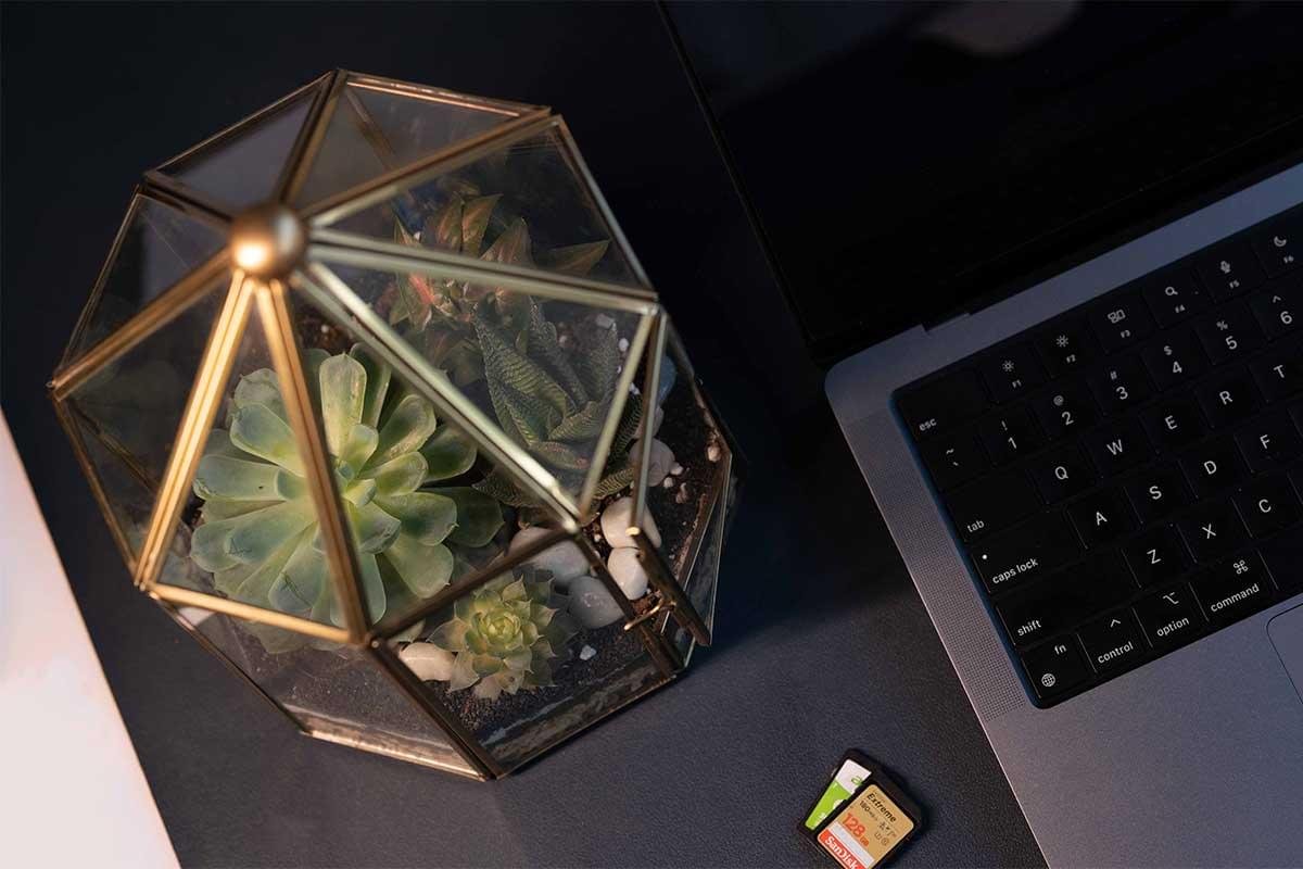 Elegant handcrafted gazebo terrarium with live greenery by Wild Roots Gifting – premium indoor plant decor in Delhi NCR and Dehradun