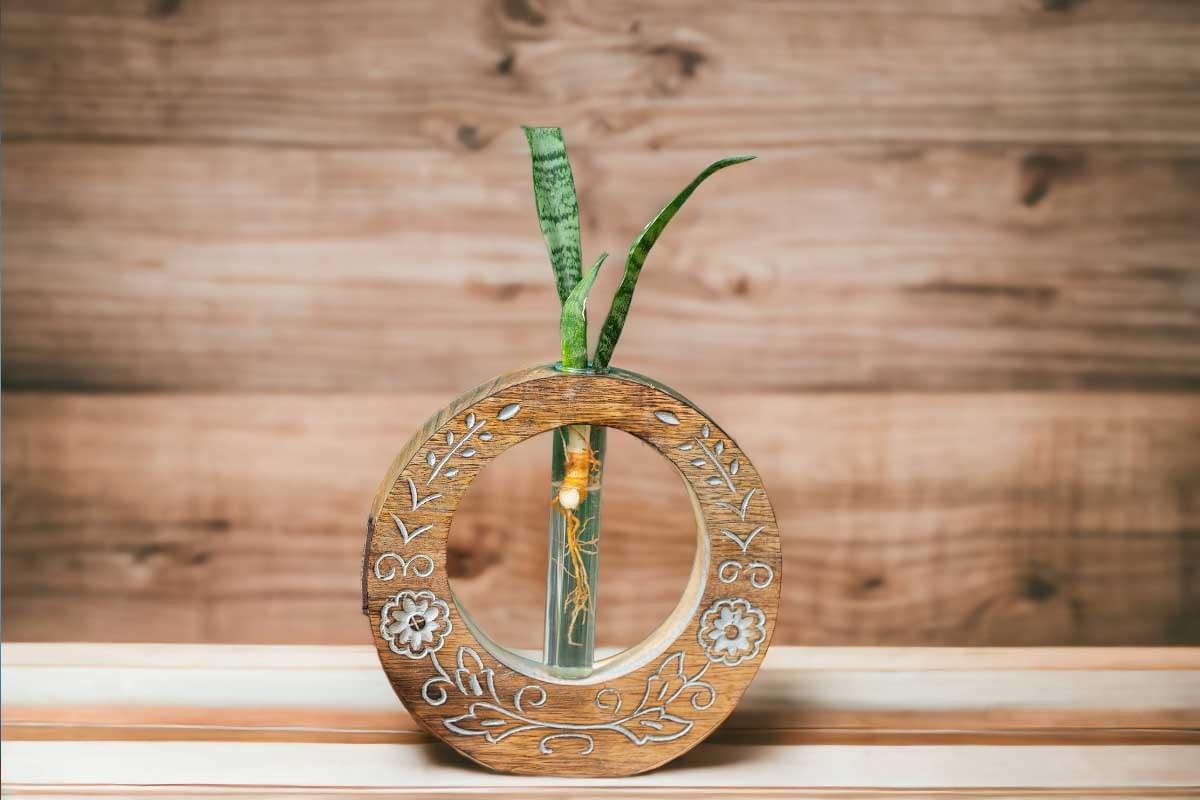 Hand-carved wooden test tube planter with glass vials for plant propagation by Wild Roots Gifting – rustic indoor decor in Delhi NCR and Dehradun