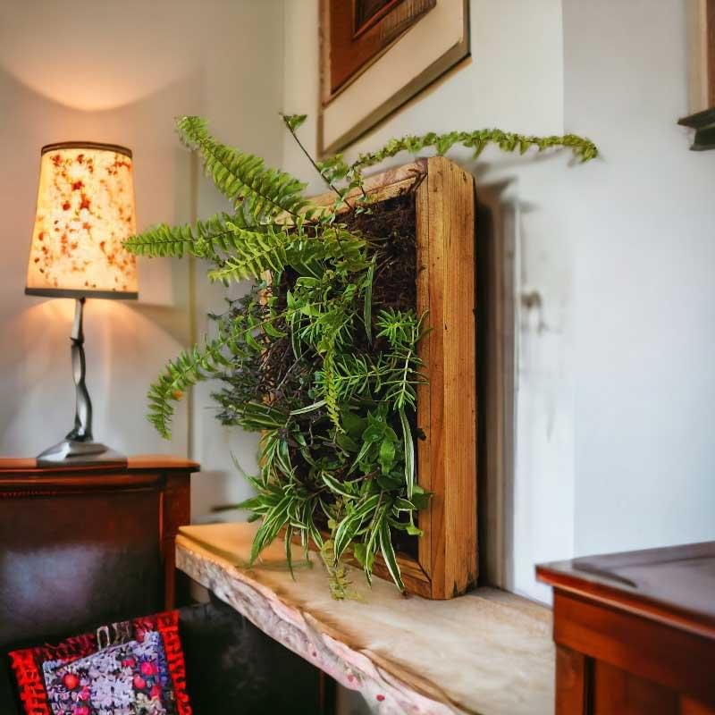 "Fern plant frame for wall decor and gifting by Wild Roots Gifting – natural green art for homes and offices in Delhi NCR and Dehradun