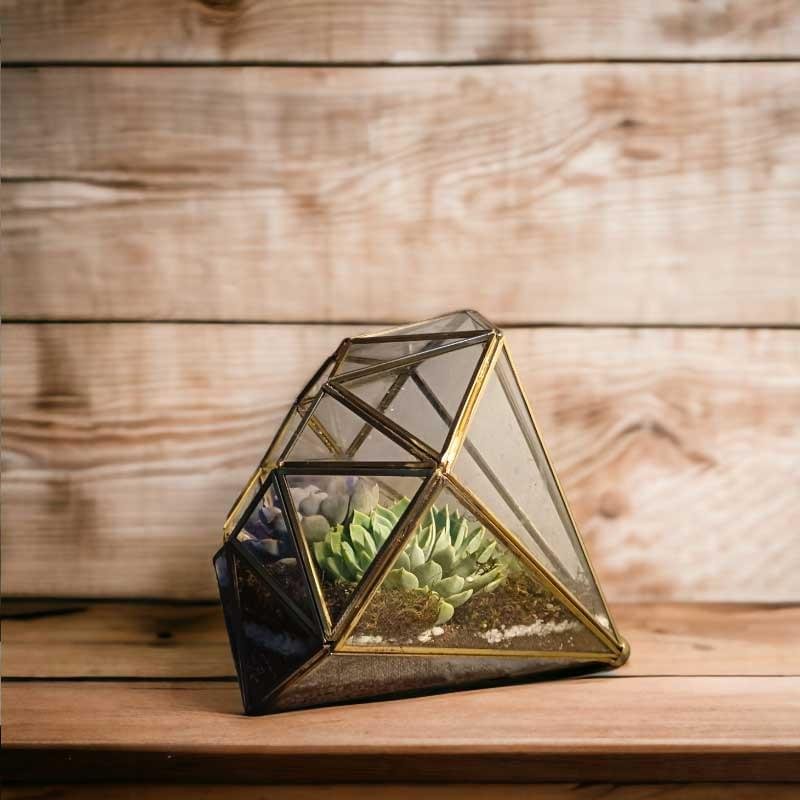 Diamond-shaped glass terrarium with live plants by Wild Roots Gifting – modern indoor garden decor for Delhi NCR and Dehradun homes and offices