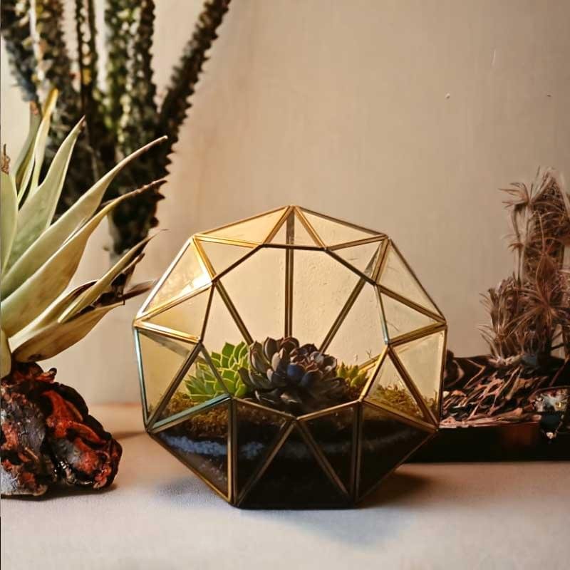 Diamond-shaped glass terrarium with live plants by Wild Roots Gifting – modern indoor garden decor for Delhi NCR and Dehradun homes and offices