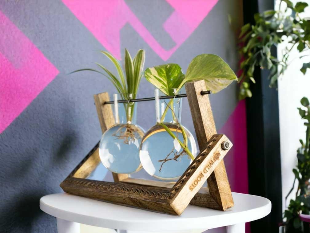 Buy Hydro pendulum vase planter online from gifting.wildroots.in