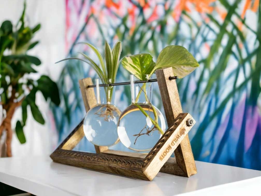 Buy Hydro pendulum vase planter online from gifting.wildroots.in