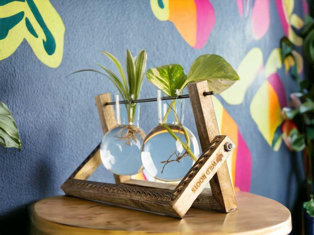 Buy Hydro pendulum vase planter online from gifting.wildroots.in