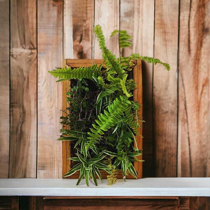 "Fern plant frame for wall decor and gifting by Wild Roots Gifting – natural green art for homes and offices in Delhi NCR and Dehradun