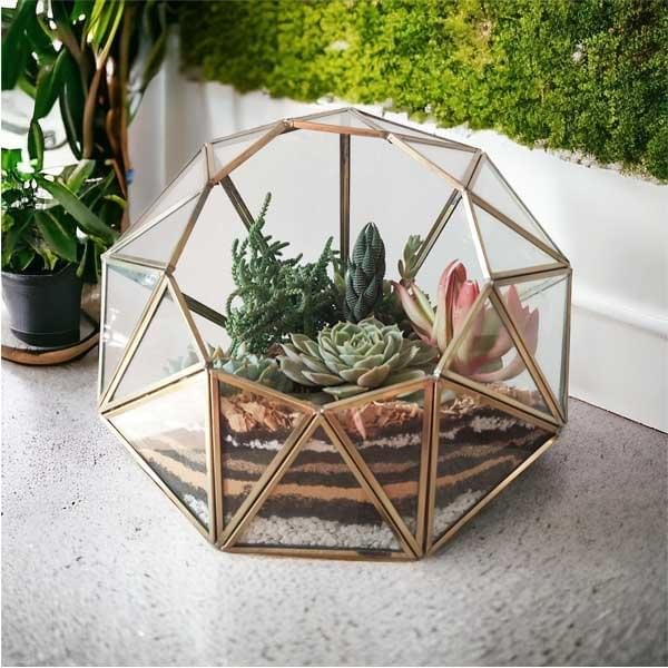 Diamond Terrarium