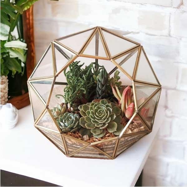 Diamond Terrarium