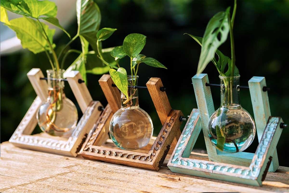 Elegant hand-carved wooden hydro pendulum vase planter with hanging glass tube by Wild Roots Gifting – modern plant propagation decor in Delhi NCR and Dehradun