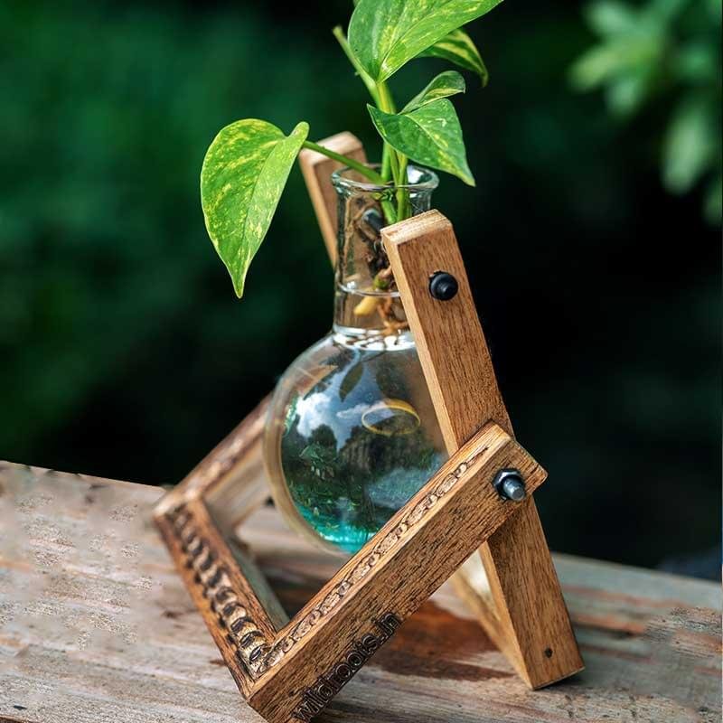 Hydro Pendulum Vase Desktop Planter for Plants Propagation