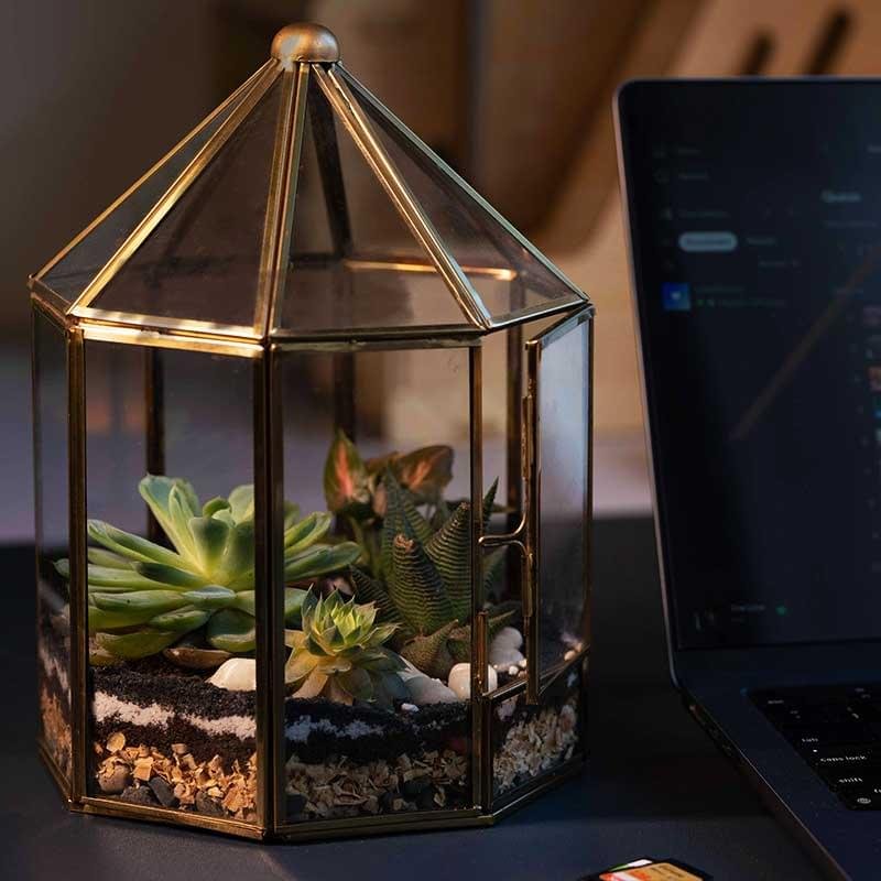 Gazebo-style glass terrarium with miniature plants and decor by Wild Roots Gifting – handcrafted green gift from Delhi NCR