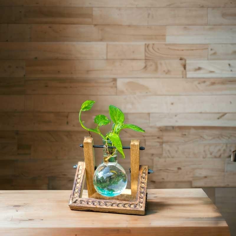 Stylish pendulum planter with suspended glass vessel and live plants by Wild Roots Gifting – modern indoor garden decor in Delhi NCR and Dehradun