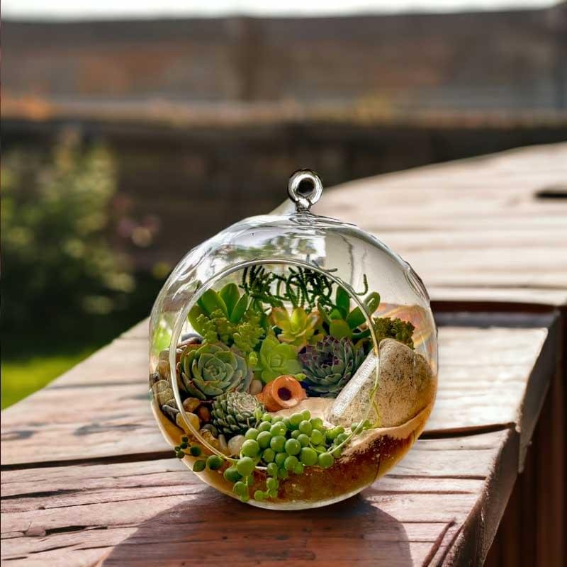 Hanging globe terrarium with live plants by Wild Roots Gifting – elegant suspended indoor garden decor for Delhi NCR and Dehradun homes and offices
