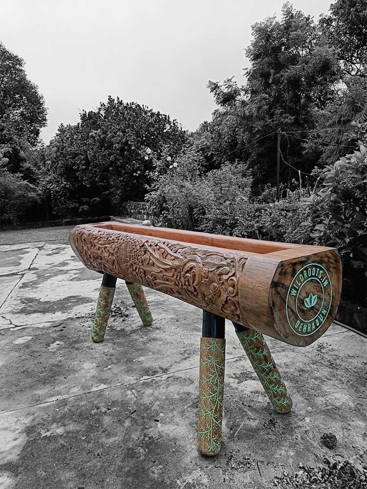 "Discover the rustic charm of Hand Carved Sal Wood Wooden Log Planters. Transform your space with nature's elegance today!"