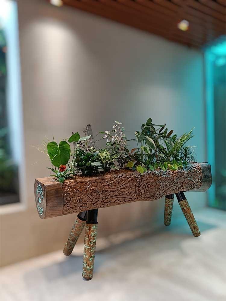 "Discover the rustic charm of Hand Carved Sal Wood Wooden Log Planters. Transform your space with nature's elegance today!"