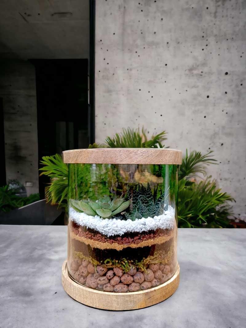 Cylindrical Glass Terrarium - 6x6 Inches