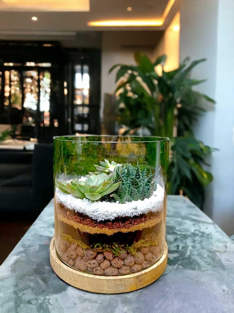 Cylindrical Glass Terrarium - 6x6 Inches