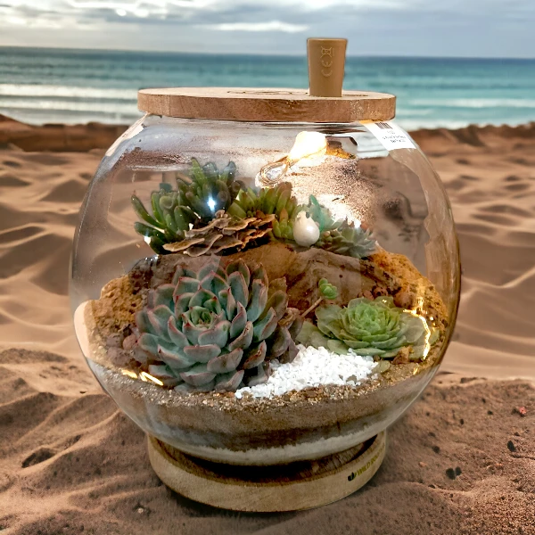 Fish bowl terrarium with succulents by Wild Roots Gifting – elegant glass planter for indoor decoration in Delhi NCR and Dehradun