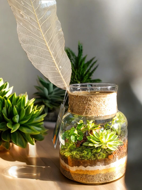 Glass Jar Terrarium
