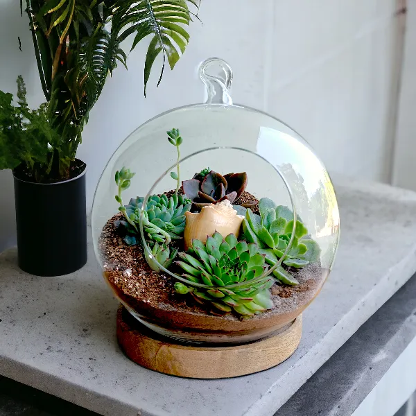 Round Globe terrarium