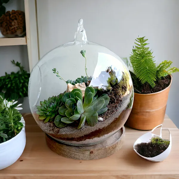 Round Globe terrarium