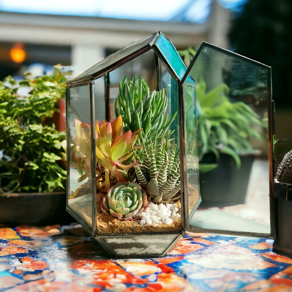 Pentagon terrarium by wild roots