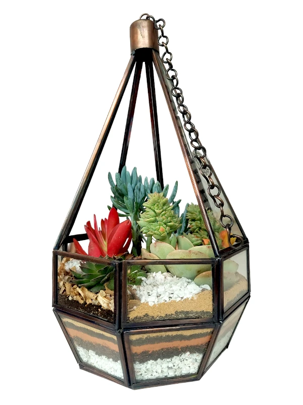 Hanging Designer Glass Terrarium by Wild Roots