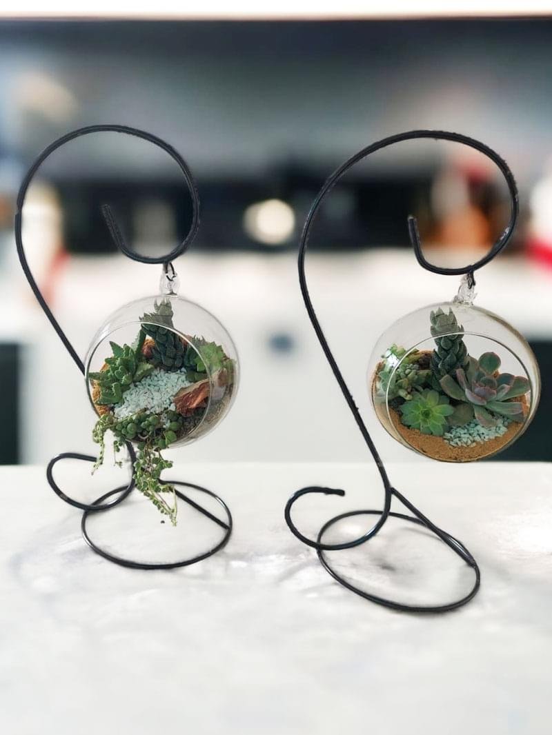 Hanging Glass Terrarrium with metal Stand
