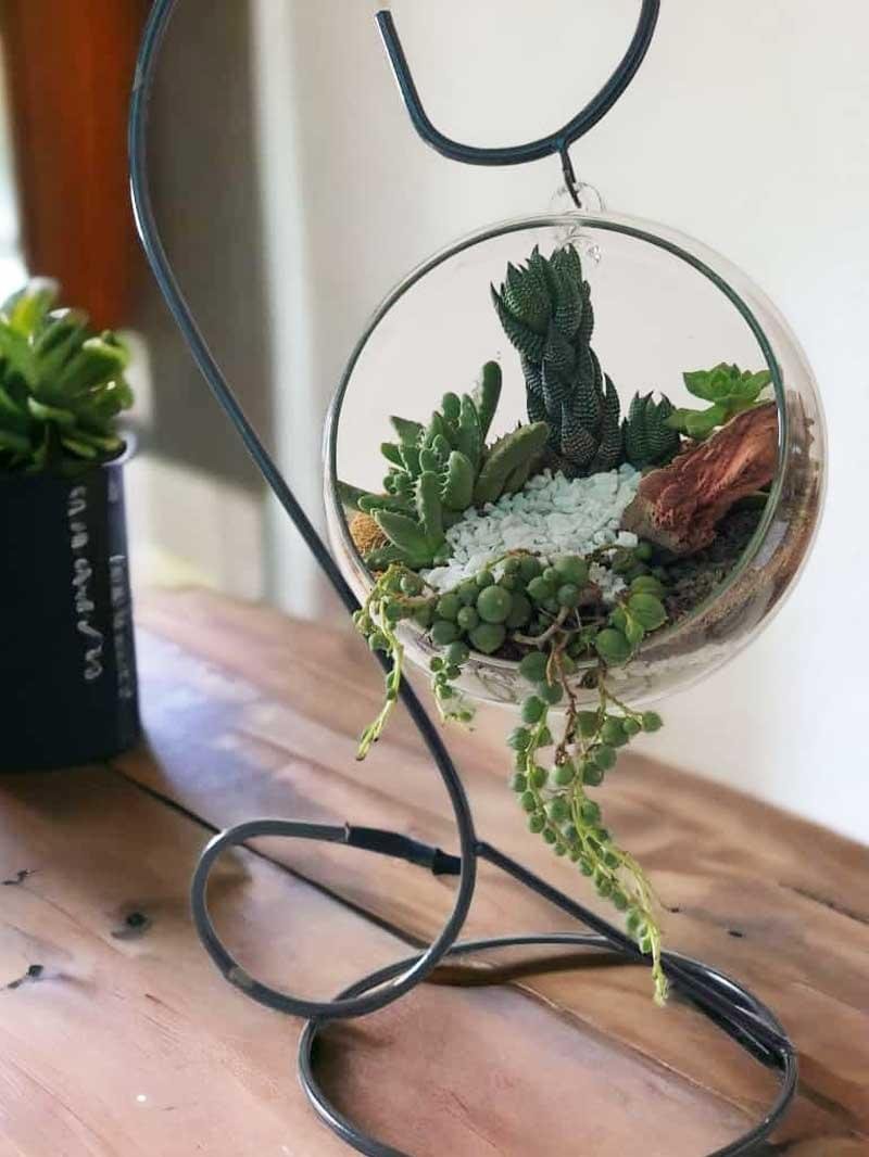 Hanging Glass Terrarrium with metal Stand