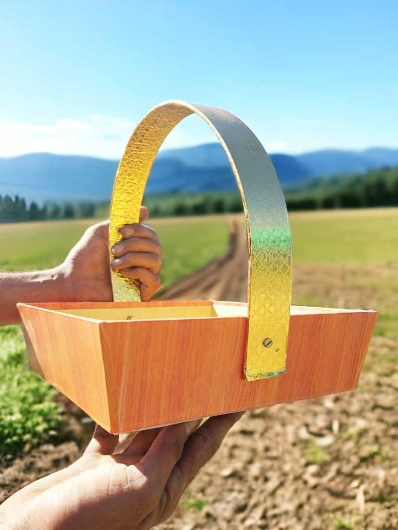 Eco-friendly cardboard gifting basket and gifting tray by Wild Roots Gifting – sustainable gift packaging in Delhi NCR and Dehradun