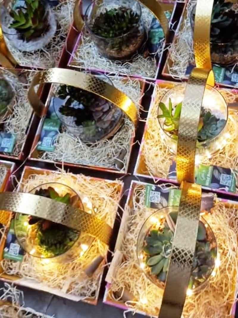 Eco-friendly cardboard gifting basket and gifting tray by Wild Roots Gifting – sustainable gift packaging in Delhi NCR and Dehradun