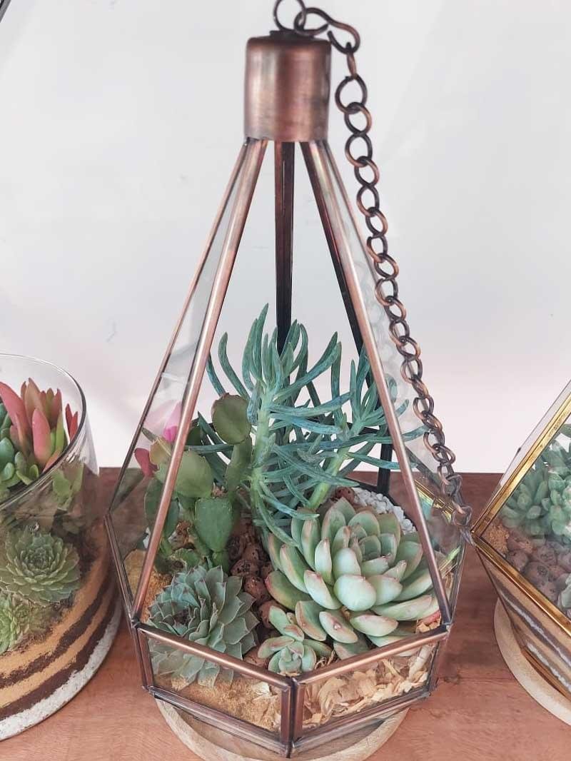 Hanging chandelier glass terrarium with live plants by Wild Roots Gifting – elegant indoor hanging planter for Delhi NCR and Dehradun homes and offices
