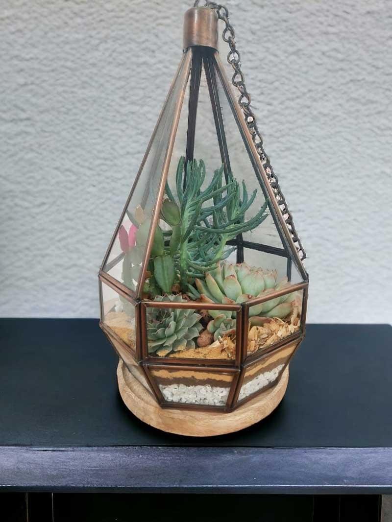 Hanging chandelier glass terrarium with live plants by Wild Roots Gifting – elegant indoor hanging planter for Delhi NCR and Dehradun homes and offices