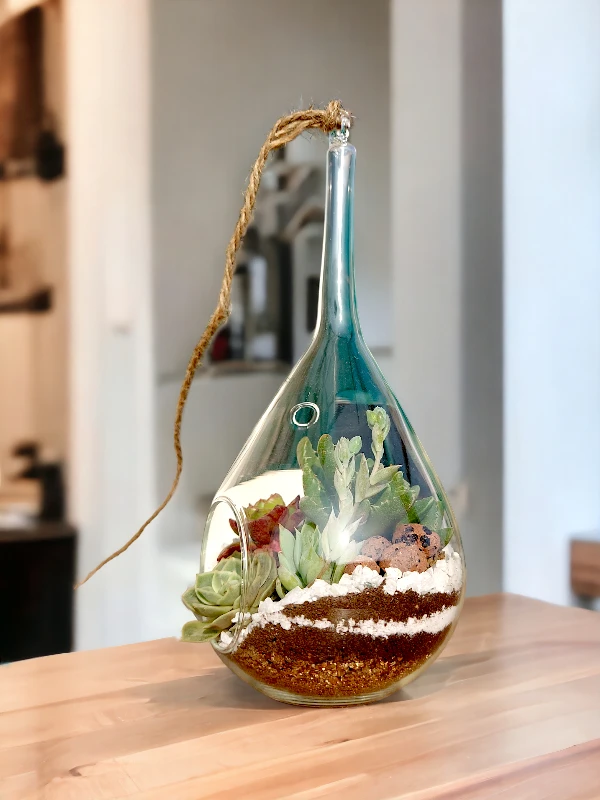 Slender neck hanging terrarium with air plants by Wildroots