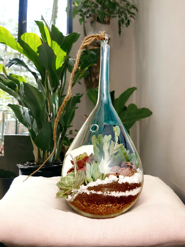 Slender neck hanging terrarium with air plants by Wildroots