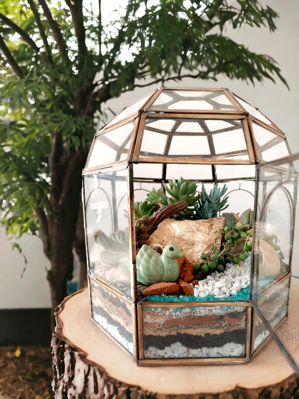 Geometric dome glass house terrarium with live plants by Wildroots – modern indoor garden décor