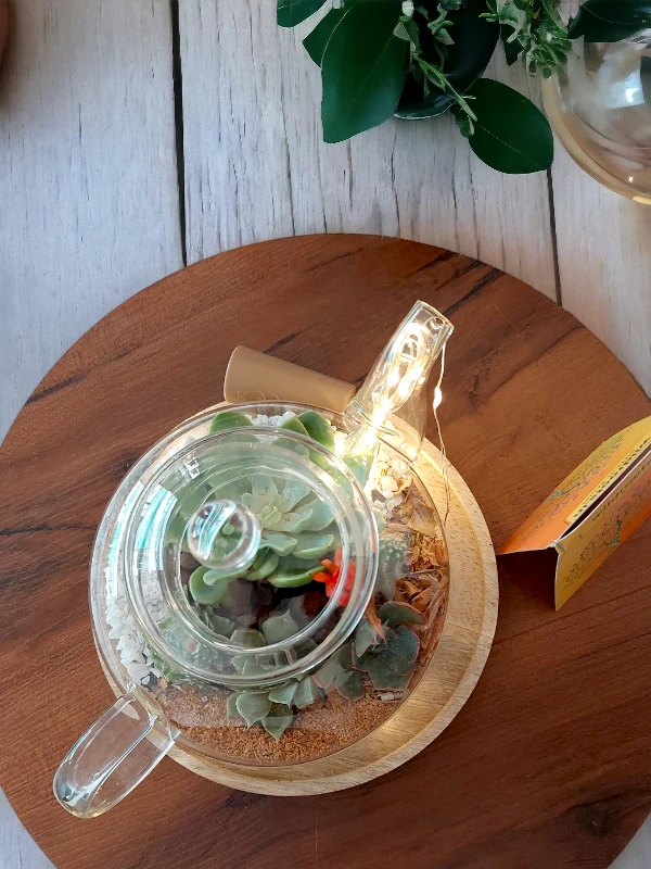 Vintage tea kettle terrarium with lush green plants from Wildroots