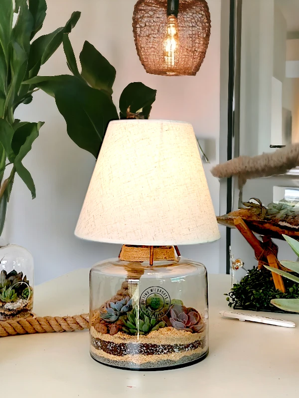Volcano Jar Lamp Terrarium with LED light and layered greenery by Wildroots