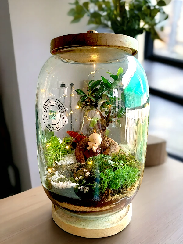 Bell Jar Bonsai Terrarium by wild roots for gifting and home decor